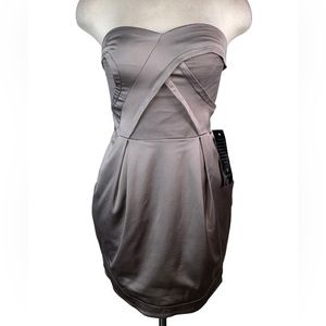 Bebe Strapless Mesh Dress